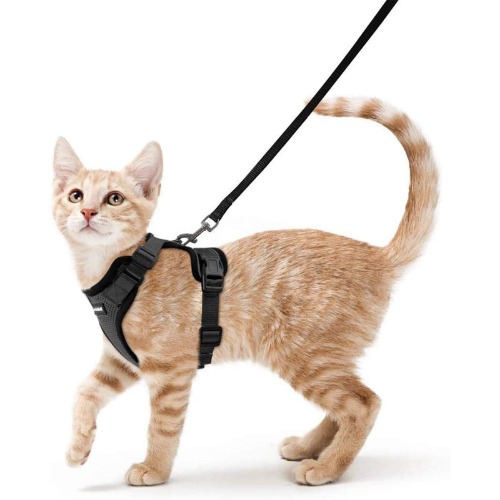 Rabbitgoo Cat Harness and Leash Set for Walking Escape Proof, Adjustable Small Vest Harnesses for Cats with 59 Inches Leash, Small Kitten Leash Harness with Reflective Strips and 1 Metal Leash Ring, Black, XS