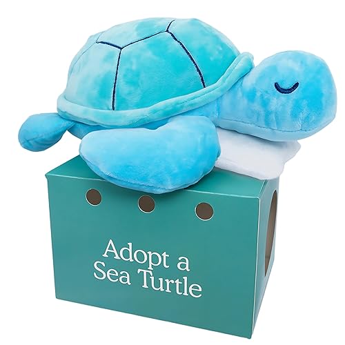 Follow Your Legend Sam The Sea Turtle Plush with Pillow Accessory - 10" Adopt Me Plushies, Stuffed Turtle, Sea Turtle Stuffed Animal, Small Turtle Plush - Sea Turtle
