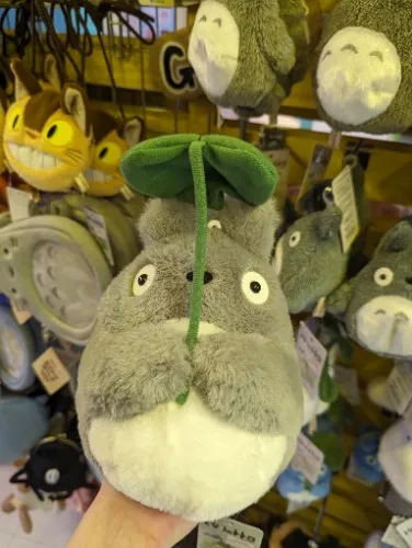 Cute Totoro Plush from Village Vanguard