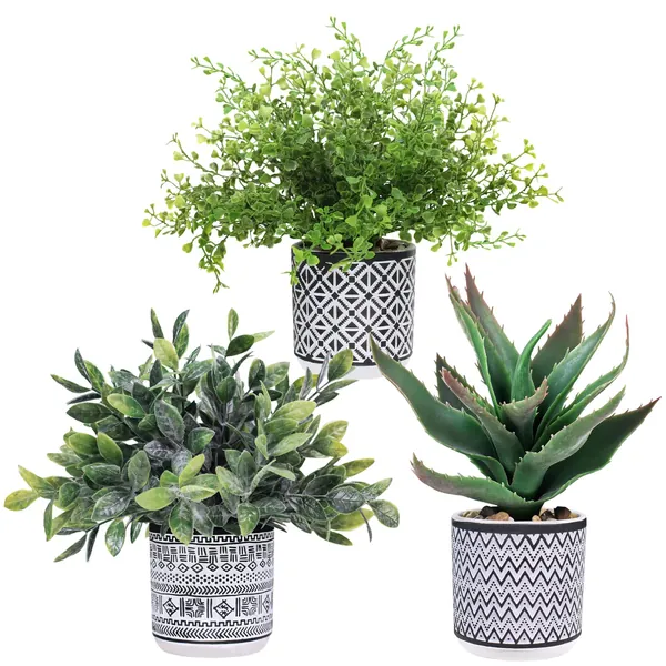 Set of 3 Assorted Small Potted Plants Fake Eucalyptus Boxwood Plants Aloe Succulent Plant in Black and White Geometric Pots for Table Centerpiece Windowsill Shelf Indoor Outdoor Garden Greenery Decor - 