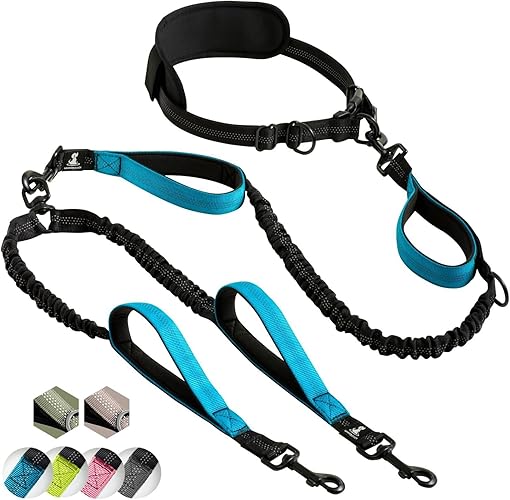SparklyPets Hands Free Dual Dog Leash for Medium and Large Dogs - Padded Handles, Reflective Stitches, No Pull, Tangle Free Blue - Blue - For 2 Medium/Large Dogs