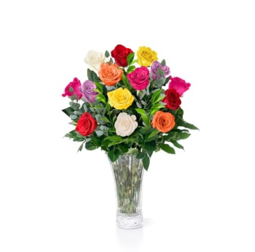 Fresh Flowers Delivery - 1 Dozen Roses for Delivery, Farmhouse Flowers for Delivery - Assorted Fresh Cut Long Stem Roses Bouquet of Flowers Birthday Gifts for Women -Aquarossa Farms - 12 flowers (1 dozen) - No Vase