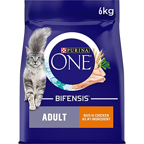Purina ONE Adult Dry Cat Food Rich in Chicken 6kg, Packaging may vary - Chicken - 6 kg (Pack of 1)
