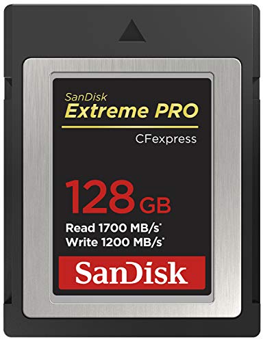 SanDisk 128GB Extreme PRO CFexpress Card Type B - SDCFE-128G-GN4NN, Silver - 128GB - Card Only