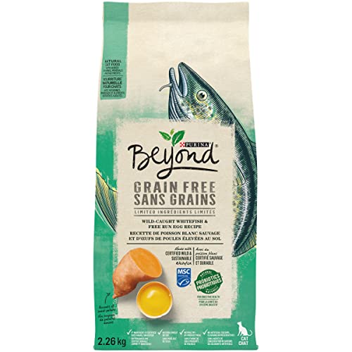 Beyond Grain Free Natural Dry Cat Food