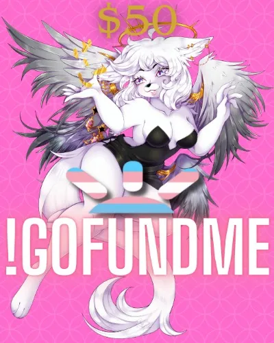 Heart's Emergancy Moving Fund - $50