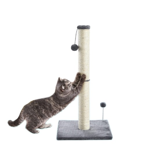 Sxkayxr 31" Tall Cat Scratching Post with 2 Interactive Ball, Claw Scratcher Covered with Natural Sisal Rope and Soft Smooth (31") - 31"