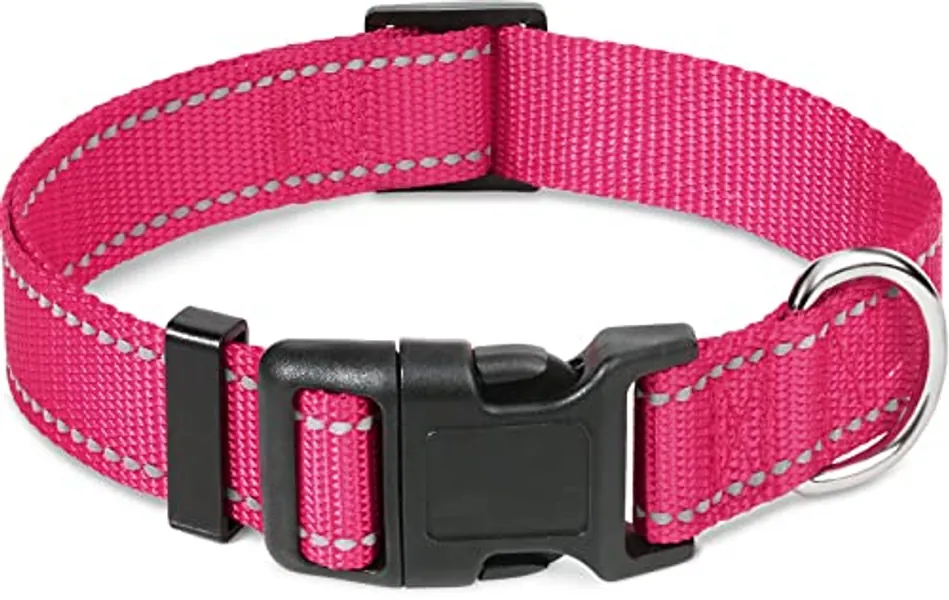 Taglory Reflective Adjustable Dog Collars for Puppy Small Medium Large Dogs, Thin Nylon Webbing and Quick Release Plastic Buckle(Hot Pink,XSmall)