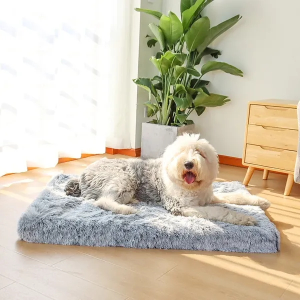 Plush Orthopedic Memory Foam Dog Mattress by Estilo Living - Plush Gray / X-Large