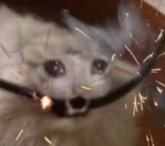 [🔌] Electric Bill of the Month