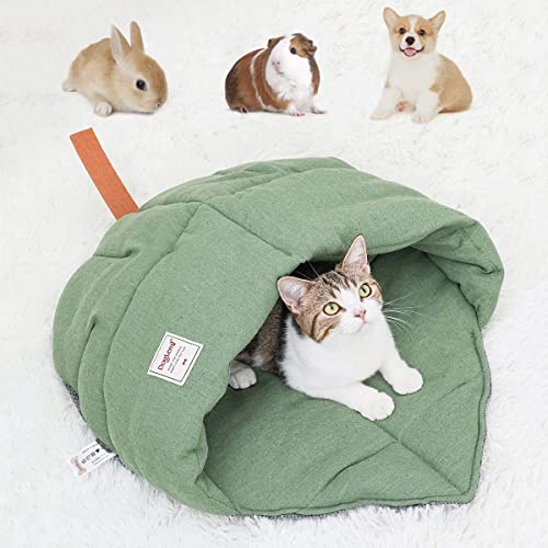 Leafy cat bed (For the ferrets!) 