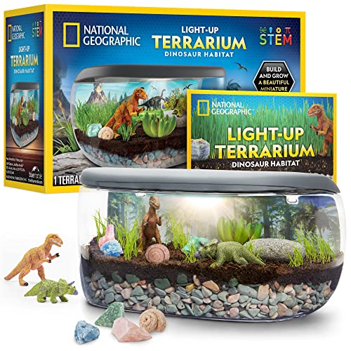 NATIONAL GEOGRAPHIC Light Up Terrarium Kit for Kids - Build a Dinosaur Habitat with Real Plants & Fossils, Science Kit, Dinosaur Toys for Kids (Amazon Exclusive) - Dino Habitat