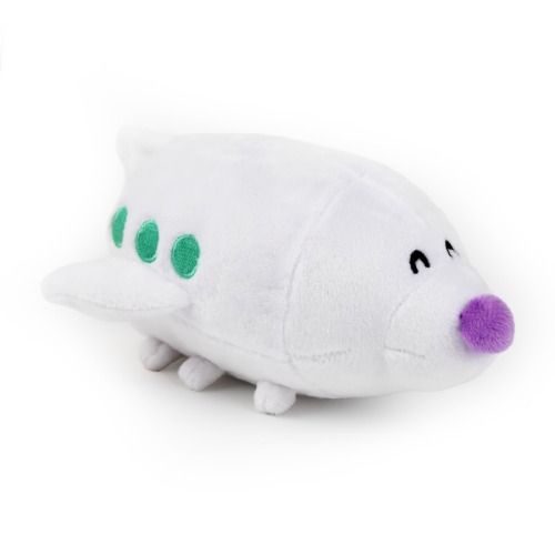 Plain Plain | Default Title