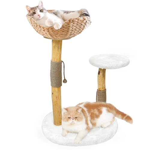 Modern Cat Tree Tower for Indoor Cats, Real Branch Wood Cat Tower with Luxury Cat Condo, Cat Scratching Post, Jumping Platforms, Cat Furniture, Coffee Wood cat Tree (Gold- 2 cat Tree A) - Gold- 2 cat tree A