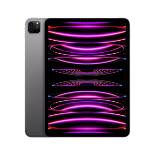 2022 Apple 11" iPad Pro (Wi-Fi + Cellular, 512 GB) - Space Grau (4. Generation) - Wi-Fi + Cellular Space Grau 512 GB
