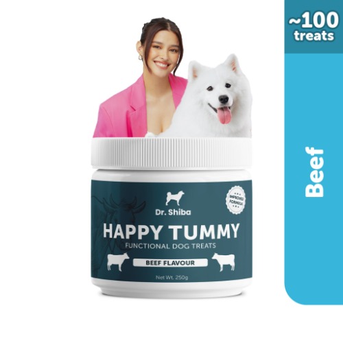 Dr Shiba Happy Tummy Healthy Dog Treats Snack - Dog Multivitamins - Dog Food for Digestive Care | Shopee Philippines