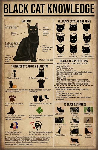 Black Cat Knowledge Tin Sign Black Cat Kitchen Decor Poster Cat Smoke Poster Bar Bathroom Bar Garden Home Outdoor Wall Decoration Metal Tin Signs 8x12 Inch - 8X12 in - A12