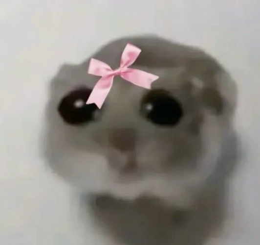 Help me pay for my room ❤️