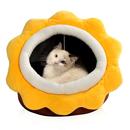 Cat Bed for Emi