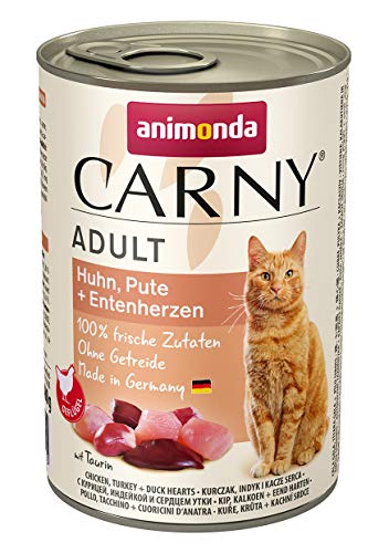 Carny Cat Food
