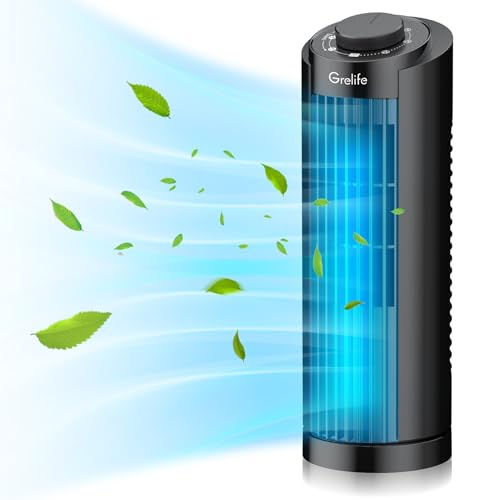 A really COOL fan so I don't DIE in summer!!