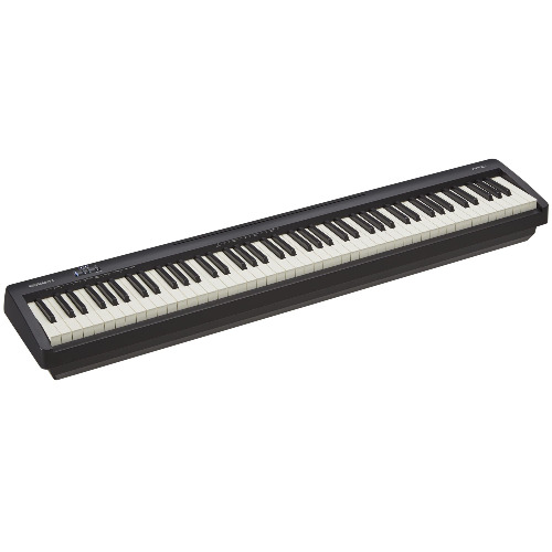 Roland FP-10 – Compact 88-Note Digital Piano with SuperNATURAL Piano Tones and Authentic Acoustic Feel Keyboard | Simple to Use | Ideal for Home Use, Students and Learning Correct Techniques - FP-10 $669.00