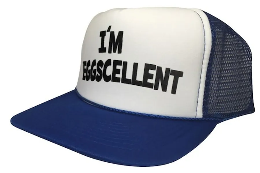 The Regular Show Funny I'm Eggscellent Snap Back Hat Cap | Etsy