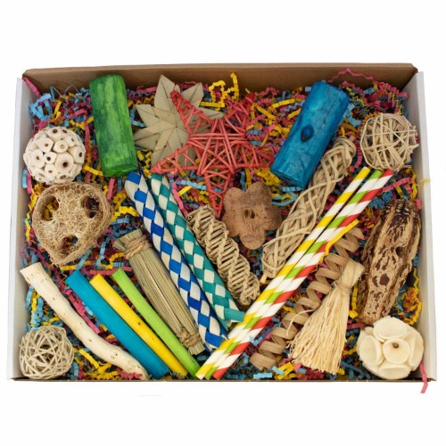 Super Bird Creations SB1237 Foraging Fun Box Bird Toys - Activity Kit with 30+ Pieces Bird-Safe Toys - Enrichment Toys for Ringnecks, Medium Conures, Pionus, and Senegals - Ideal for Medium Bird Size