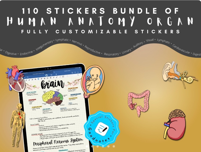 Med Stickies 👩🏻‍⚕️🩺