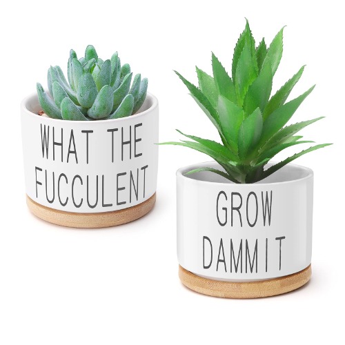 Succulent Pots, Popvip 3.15 Inch Ceramic Funny Planter Pots with Bamboo Tray, Housewarming Gift for Women, Best Friend, Daughter, Mom, Coworker, Pack of 2 - Plants Not Included (A) - 