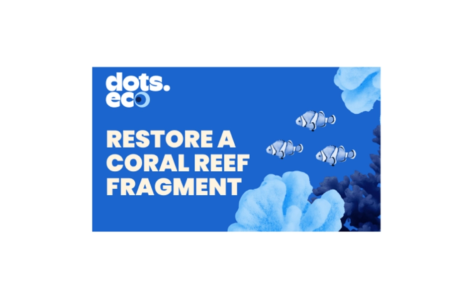 RESTORE A CORAL REEF FRAGMENT US $5 Gift Card