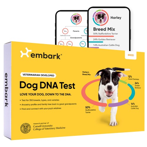 Embark Breed Identification Kit | Most Accurate Dog DNA Test | Test 350+ Dog Breeds | Breed ID Kit with Ancestry & Family Tree - 