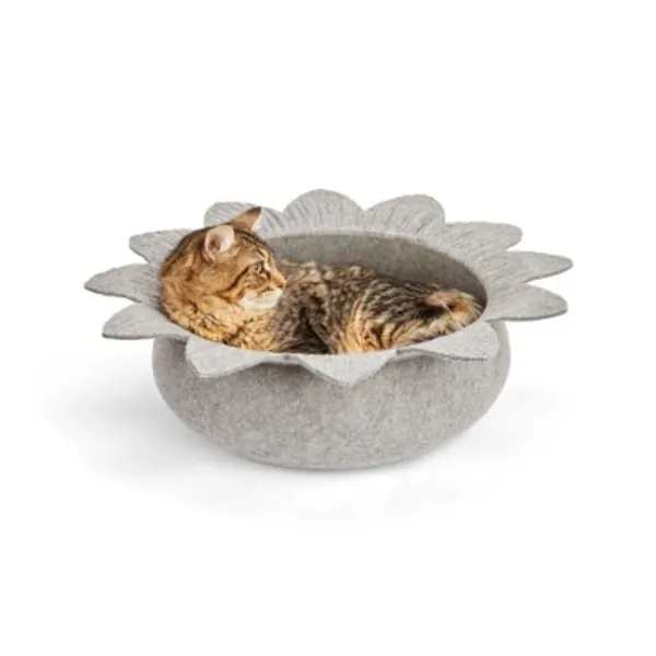 EveryYay Snooze Fest Grey Felt Petal Oval Lounger Cat Bed, 17" L X 14" W X 2" H | Petco