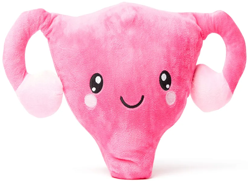 nerdbugs Uterus Plush - Who Put The Cuter-us in Uterus?- Get Well Gift/ Hysterectomy/ Endometriosis/ Gynecologist Education/ Surgeon Education, Health Education Gift/ Post Surgery Gift - 