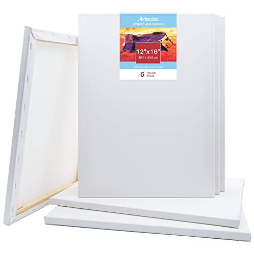 Artecho 12"x16" Stretched Canvas, White Blank 6 Pack, Primed 100% Cotton, for Painting, Acrylic Pouring, Oil Paint & Artist Media - 12''x16''-6pack