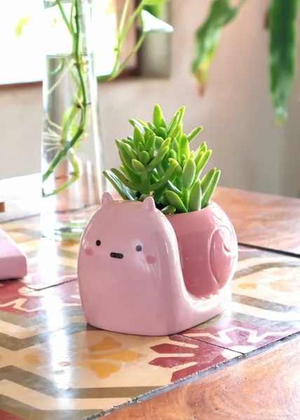 Snail Planter