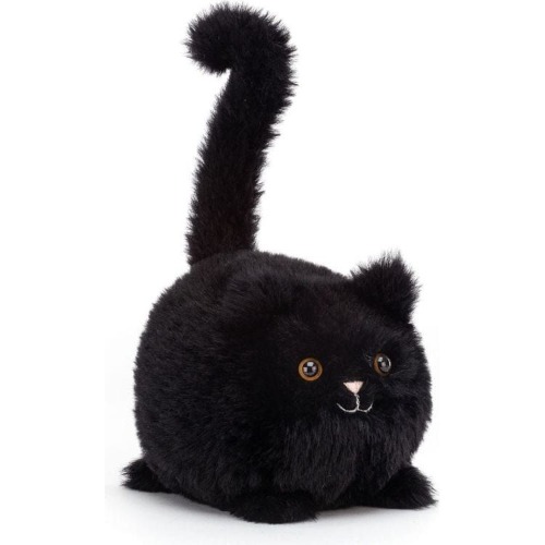 Kitten Caboodle Black | Default Title