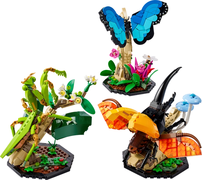 The Insect Collection 21342 | Ideas | Buy online at the Official LEGO® Shop AU 