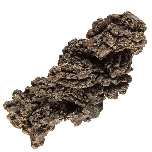 KALIFANO Authentic Prehistoric Dinosaur Coprolite Feces Trace Fossil - Fossilized Dinosaur Dung Poop Coprolite from Madagascar (Information Card Included) -