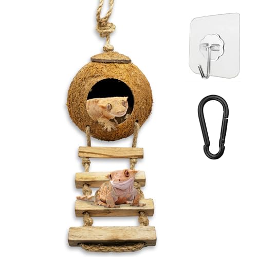 Favozio Leopard & Crested Gecko Coconut Cave Reptile Hide with Ladder, Snake Natural Coco Shell Hut Hideout, Terrarium Tank Decor Accessories, Hamster Climbing Toy, with Sticky Wall & Carabiner Hook - Large - Unpolished Coco (Natural)