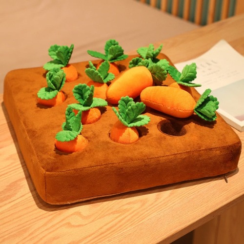 Plush Carrot Field Pull Toy - Pull Carrot 1