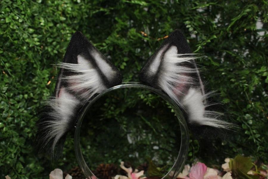 Large Black and Silver Ears