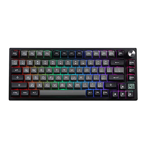 EPOMAKER TH80 SE Gasket 75% NKRO Hot Swap RGB 2.4Ghz/ Bluetooth 5.0/ Wired Gaming Keyboard with Poron/EVA Foam, 4000mah Battery, Knob Control for/Windows/Mac(Black&Silver, Wisteria Linear Switch) - Wisteria Linear Switch - TH80 SE Black Silver