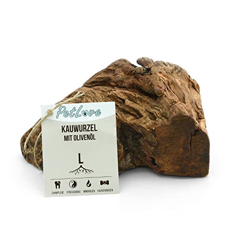 PetLove Kauwurzel für Hunde mit Olivenöl • 100% natürliches Kauholz • Kauknochen mit Mineralien • Kauspielzeug Hund • Größe: L (501-750g) • Für größere Hunde - L - Mit Olivenöl