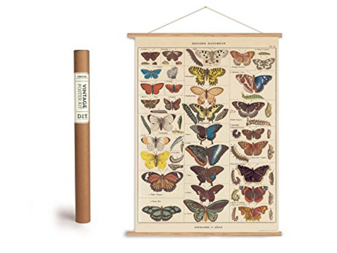 Cavallini Vintage Poster Set mit Holzleisten (Rahmen) und Schnur zum Aufhängen, Motiv Schmetterlinge