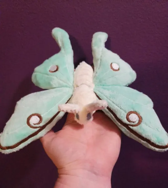 Luna Moth Plüsch Motte Stuffie Stoffstopf seltsames | Etsy Österreich