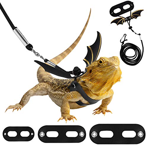 Pawaboo Adjustable Bearded Dragon Harness and Leash, 3 Size Leather Reptile Leash Outdoor Harness Leash with Bat Wings for Lizard Reptiles Amphibians Small Pet, Small/Medium/Large, Black+Gold - Black+Gold