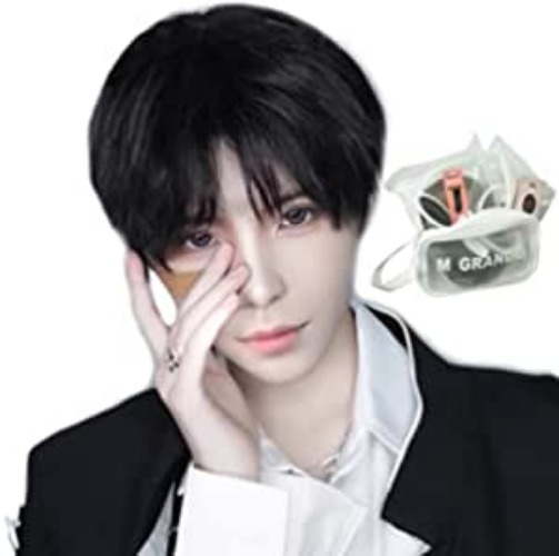 Short black wig (mikasa, etc.)