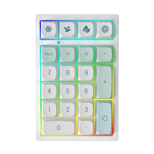 YUNZII YZ21 Hot Swappable Mechanical Numeric Keypad, RGB 21 Keys Wired Mini Numpad Gaming Keypad (Gateron Yellow Switch, Mint)