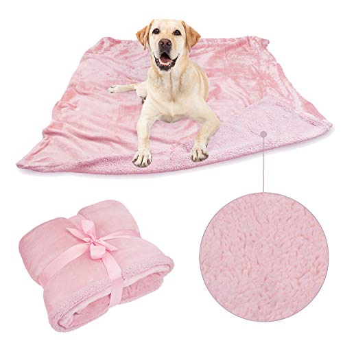 Doggo blanket